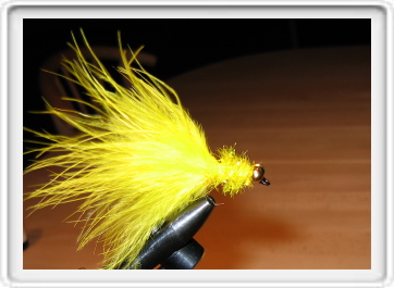 En gul Perky er frdig til action. Husk flere gange lak p trden ved hovedet.